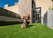 Thumbnail 21 of 26 - a woman is playing with her dog on the grass