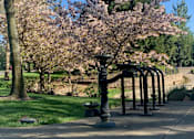 Thumbnail 27 of 32 - Green Space With Monument at Domaine at Villebois, Wilsonville, OR