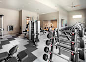 Thumbnail 11 of 21 - A gym with a variety of equipment including weights and cardio machines.