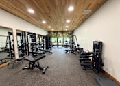 Thumbnail 33 of 33 - A gym with a variety of equipment including treadmills, weights, and exercise machines.