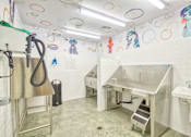 Thumbnail 32 of 37 - pet grooming station at Aya Apartments
