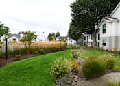 Thumbnail 5 of 32 - a front yard with a lawn and a row of houses