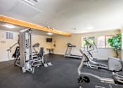 Thumbnail 2 of 29 - the gym with treadmills and other exercise equipment at 1861 blissful heights apartments