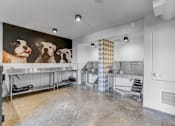 Thumbnail 17 of 23 - pet wash station at Novo Apartments