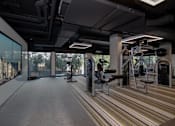 Thumbnail 10 of 26 - a rendering of a fitness room with weights machines and a large window