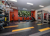 Thumbnail 9 of 26 - a gym with weights and cardio equipment and a window