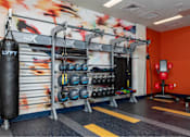 Thumbnail 8 of 26 - a boxing gym with boxing equipment and a mural on the wall