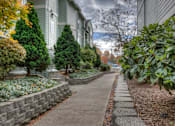 Thumbnail 16 of 16 - A residential street with a sidewalk and houses on both sides.