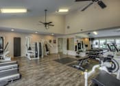 Thumbnail 12 of 16 - A gym with a variety of equipment including treadmills, weights, and a bench press.