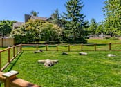 Thumbnail 17 of 27 - dog park at Dockside Apartments