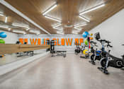 Thumbnail 19 of 41 - fitness center