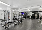 Thumbnail 11 of 15 - A gym with a variety of equipment including treadmills, weights, and exercise machines.