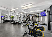 Thumbnail 15 of 15 - A gym with exercise equipment and a television screen.