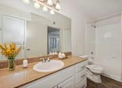 Thumbnail 13 of 24 - a bathroom with a sink and a toilet and a mirror