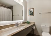 Thumbnail 12 of 26 - a bathroom with a sink and a toilet and a mirror