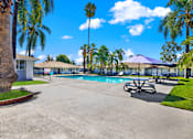 Thumbnail 11 of 31 - Resort style pool with picnic area and palm trees at Coventry Square Apartments, Upland, CA