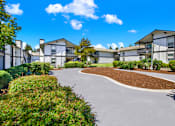 Thumbnail 13 of 33 - A residential area with houses and a curved driveway.