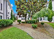 Thumbnail 8 of 28 - A tree with green leaves is in the middle of a grassy area.