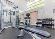 Thumbnail 5 of 52 - a gym with weights and a mirror and a window at Delano, Washington
