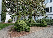 Thumbnail 54 of 60 - Courtyard With Mature Trees at The Ridge at Bellevue, Bellevue, 98005