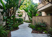Thumbnail 3 of 27 - A concrete walkway leads through a lush garden.