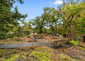 Thumbnail 9 of 11 - A park with a picnic table surrounded by trees.