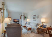 Thumbnail 15 of 19 - a living room with a couch and a chair