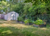 Thumbnail 6 of 6 - a garden with a shed and plants in it