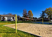 Thumbnail 71 of 80 - A sand volleyball court at Addison at Sutherland, Knoxville  