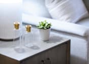 Thumbnail 23 of 80 - Two bottles and a plant on a table.at Addison at Sutherland, Knoxville, TN 37909  
