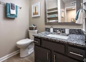 Thumbnail 56 of 80 - A bathroom with a toilet, sink, and mirror.at Addison at Sutherland, Knoxville, TN 37909  