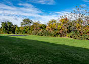 Thumbnail 10 of 16 - A large, open grassy field with trees in the background.