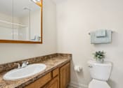 Thumbnail 11 of 17 - A bathroom with a white toilet and a marble countertop.