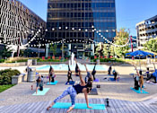 Thumbnail 25 of 34 - Levis Square