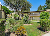 Thumbnail 7 of 40 - A sunny day at a residential area with apartment buildings and greenery.