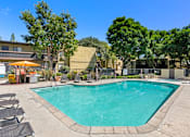 Thumbnail 10 of 40 - A large swimming pool surrounded by lounge chairs and trees.