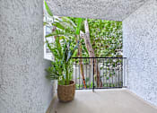 Thumbnail 46 of 49 - A potted plant sits on a balcony with a view of trees.