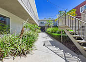 Thumbnail 52 of 91 - A sunny day in a residential area with a pathway and plants.