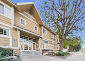Thumbnail 29 of 35 - A modern apartment building with a tree in front.