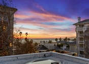 Thumbnail 18 of 66 - the view of the ocean from the backyard of a house with a pool and a