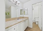 Thumbnail 35 of 51 - A bathroom with a sink, mirror, and toilet.