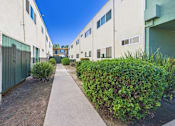 Thumbnail 18 of 65 - A long concrete pathway leads between two rows of buildings.
