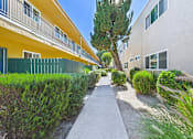 Thumbnail 19 of 65 - A pathway leads between two buildings with green shrubbery on the sides.