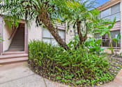 Thumbnail 23 of 28 - A palm tree stands in a garden in front of a building.