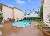 Thumbnail 20 of 28 - A small pool in a backyard with a white house and palm trees in the background.