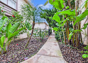 Thumbnail 22 of 28 - A garden pathway surrounded by green plants.