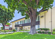 Thumbnail 53 of 55 - A tree in front of a building with the number 7055 on it.