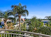Thumbnail 4 of 24 - A balcony with a white railing and several palm trees in the background.