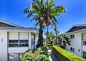 Thumbnail 110 of 228 - A white house with a palm tree in front of it.