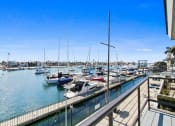 Thumbnail 9 of 135 - the view of the marina from the balcony